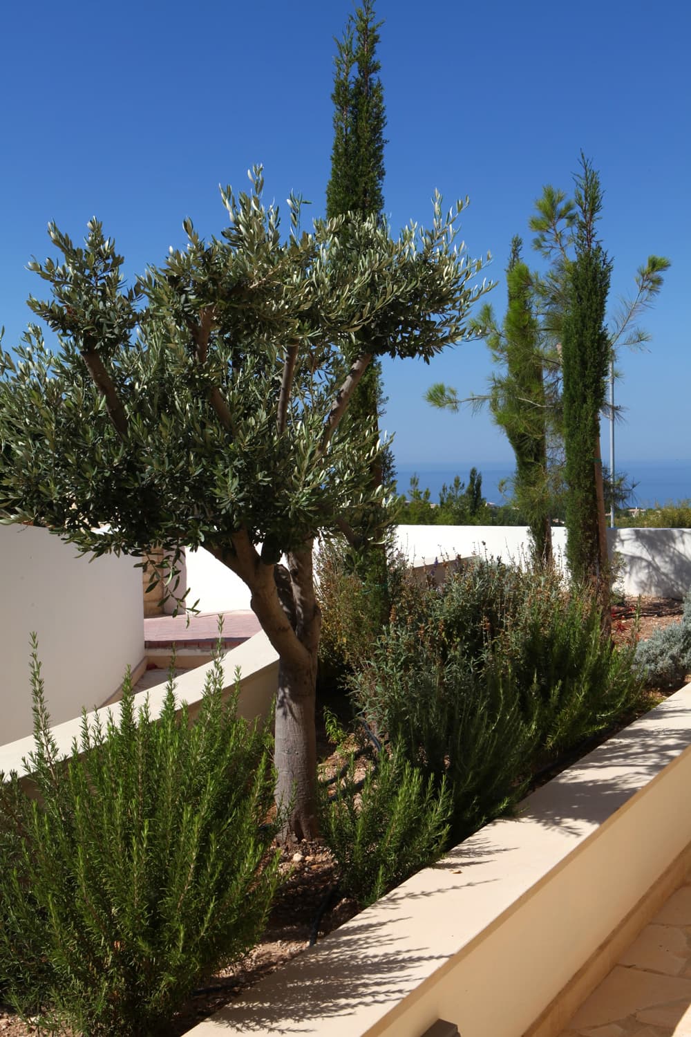 Elite Villa One — luxury villa photo 15