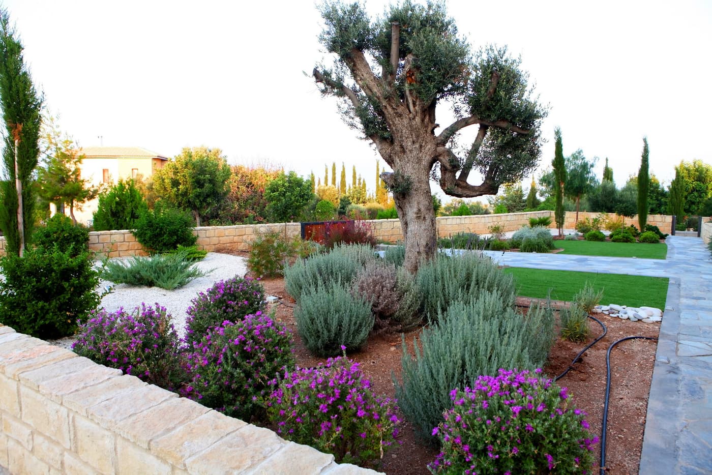 Villa Gaia — luxury villa photo 20