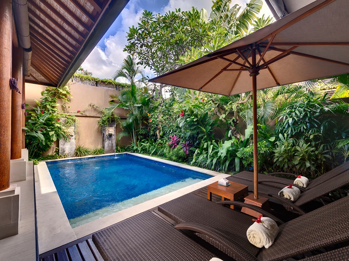 Lakshmi Villas - Villa Ubud — luxury villa photo 2