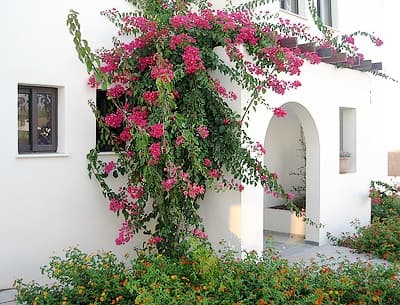 Aura Villas - 2 Bedrooms — luxury villa photo 2
