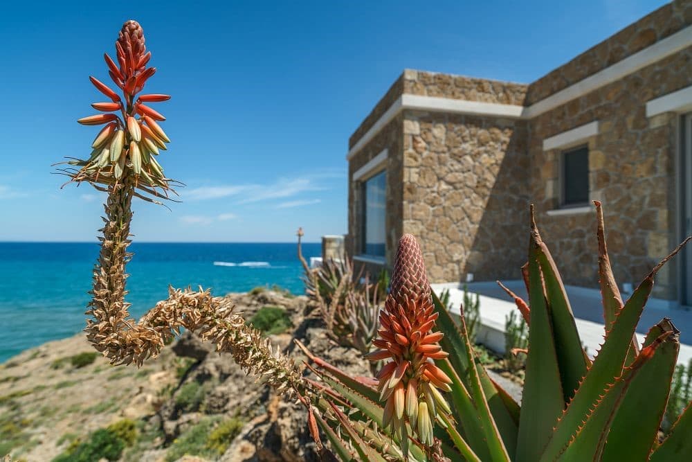 Masada Villa — luxury villa photo 2
