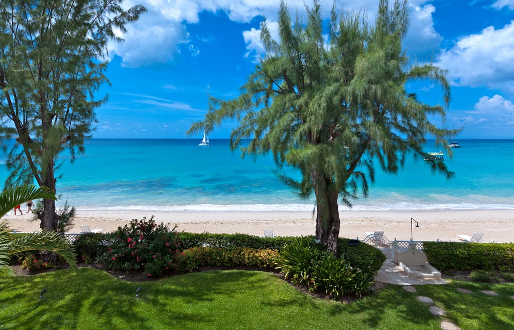 Old Trees 7 - Bella Vista — luxury villa photo 16