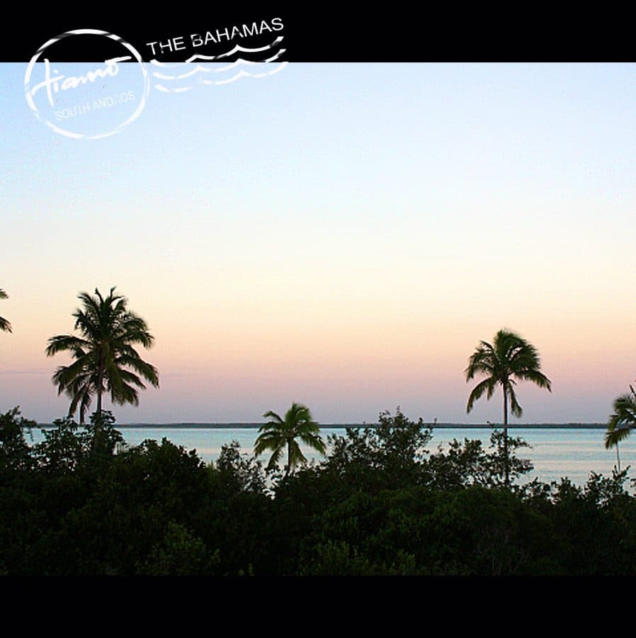 Tiamo Bird's Nest Villa — luxury villa photo 3