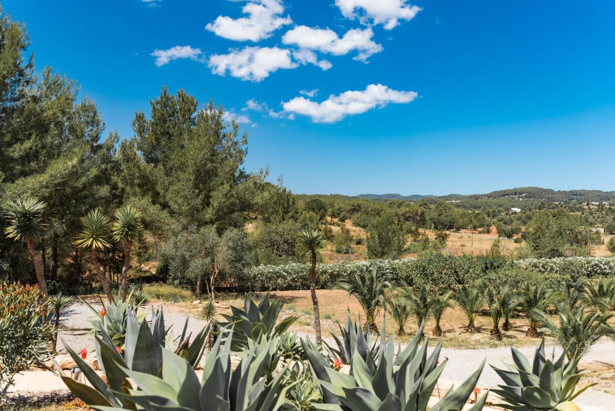 Can Diaz — luxury villa photo 2