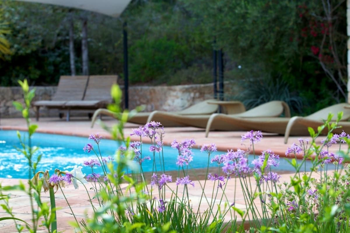 Casa Jardin — luxury villa photo 3