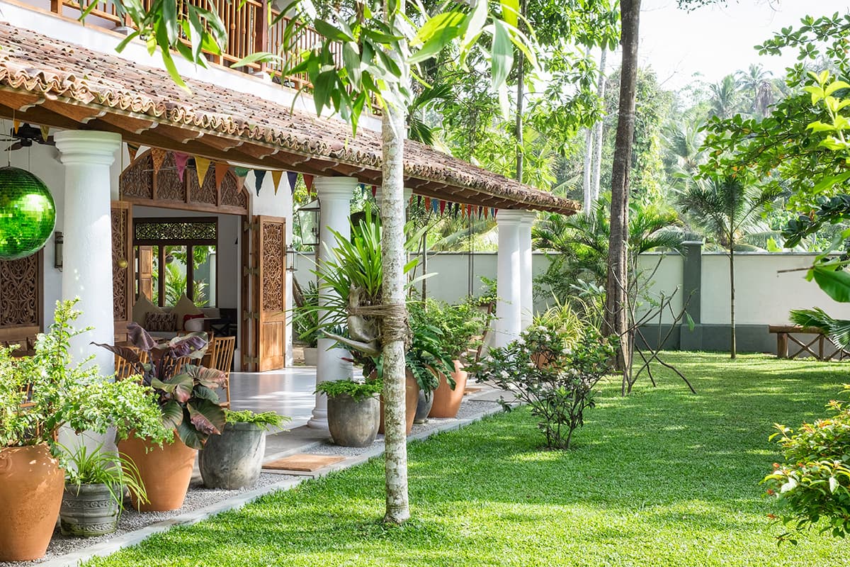 Meda Gedera — luxury villa photo 3