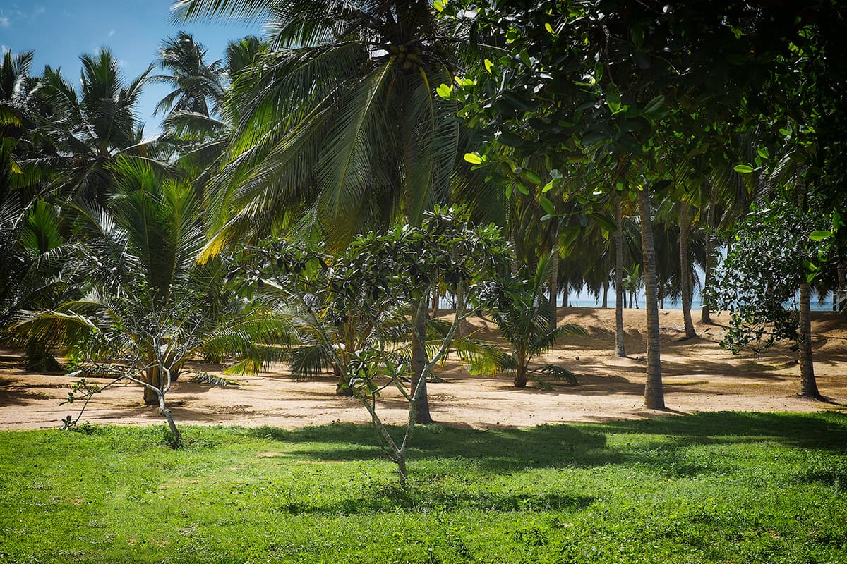 Ranawara — luxury villa photo 43