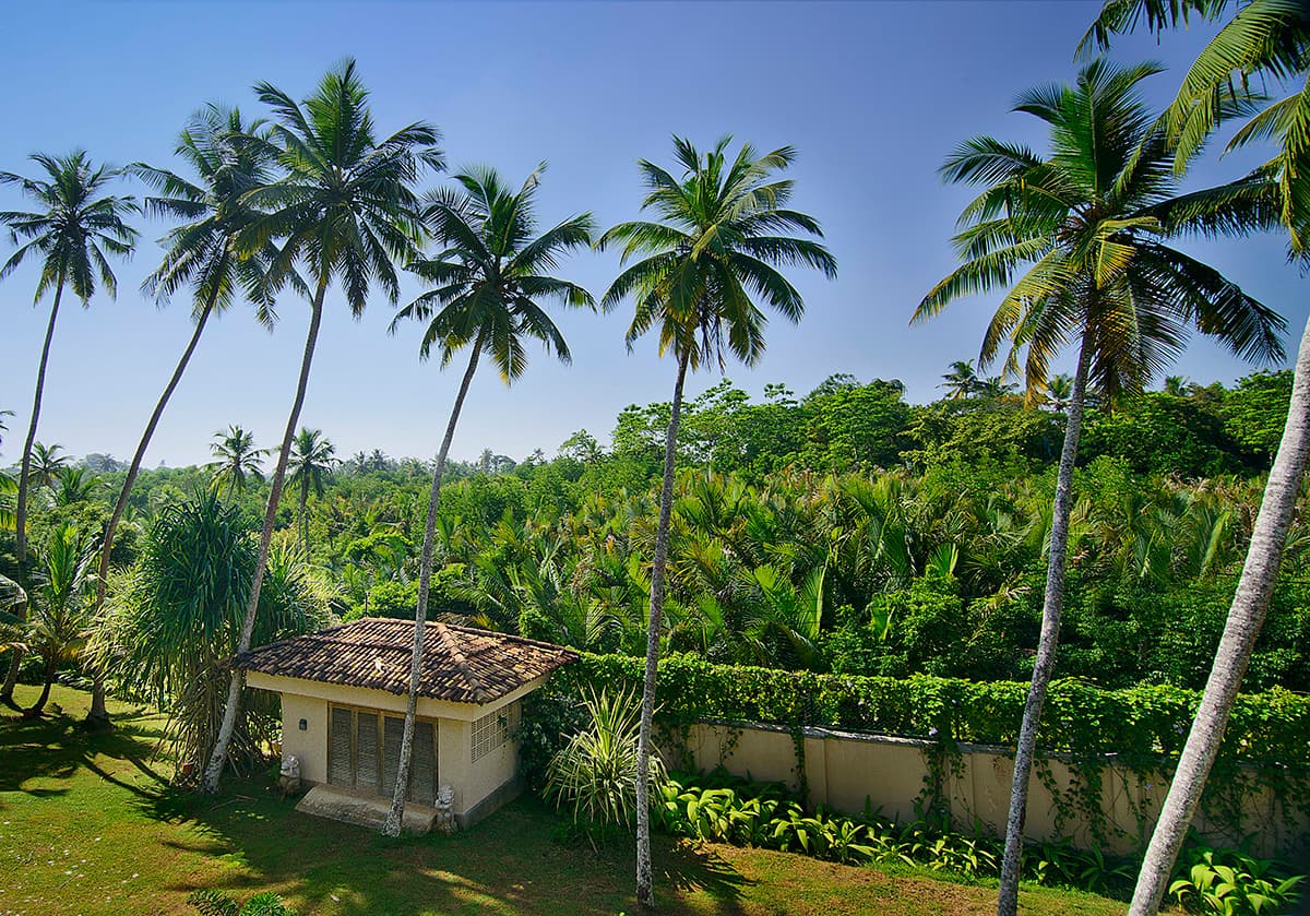 Kumara — luxury villa photo 30