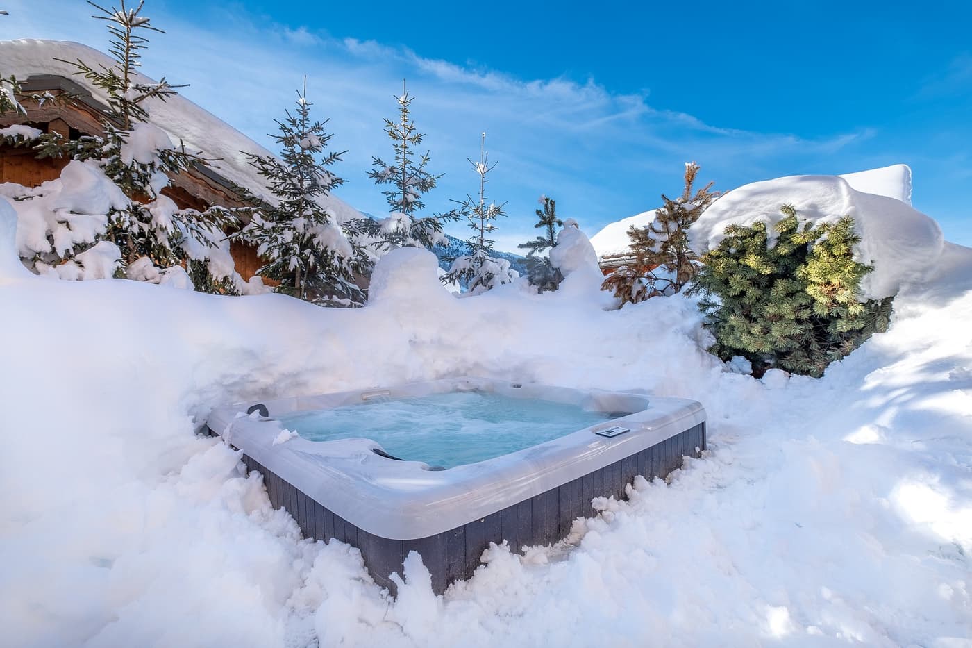 CHALET ZEBRA LODGE — luxury villa photo 2