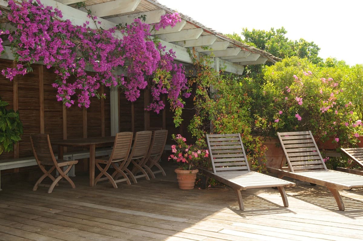 La Crique Magique — luxury villa photo 3