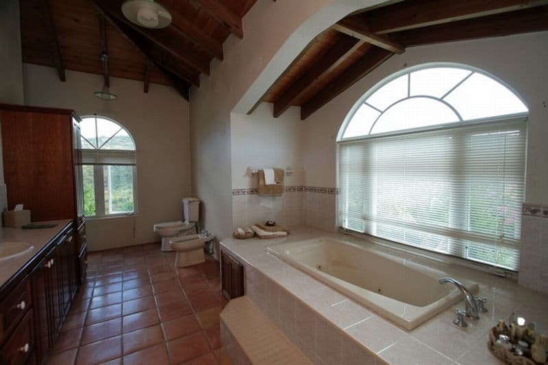 Coconut Tree Villa — luxury villa photo 19