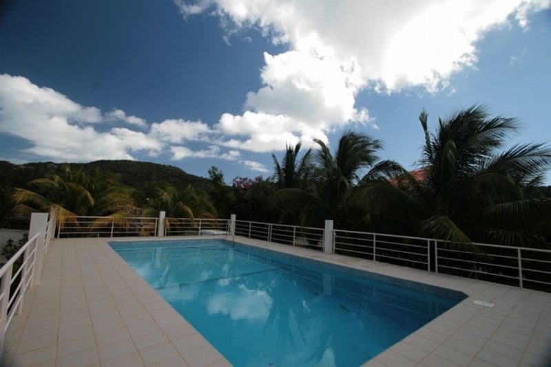 Coconut Tree Villa — luxury villa photo 2
