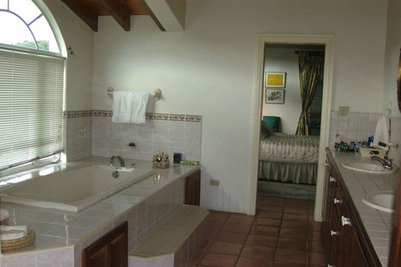 Coconut Tree Villa — luxury villa photo 20