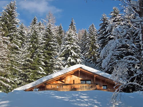 Marmotte Mountain Retreat — luxury villa photo 3