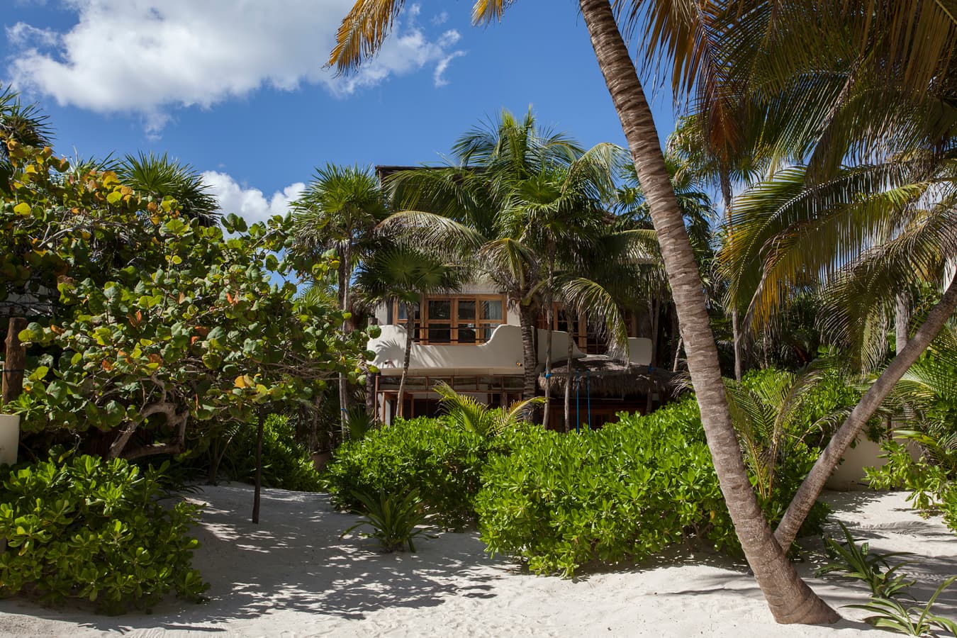Casa de las Palmas — luxury villa photo 2