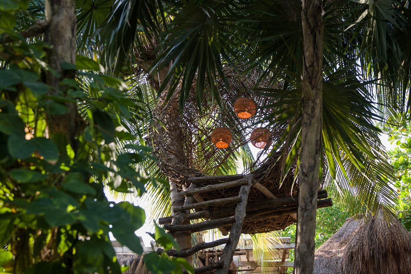 Bejuco House — luxury villa photo 25