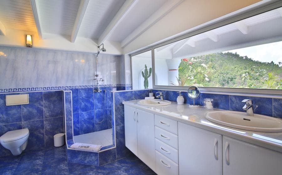 Villa Shalimar — luxury villa photo 2