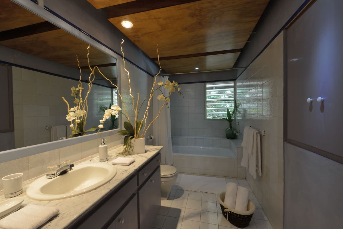 Villa Les Zephyrs — luxury villa photo 3