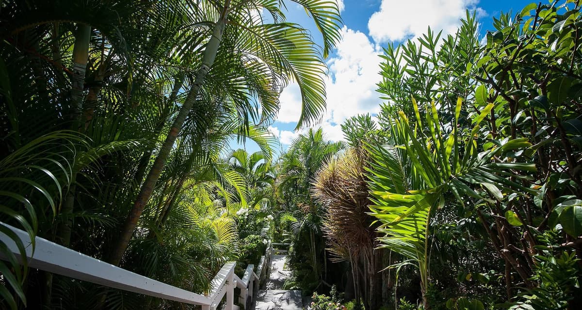 Villa Birdy — luxury villa photo 19