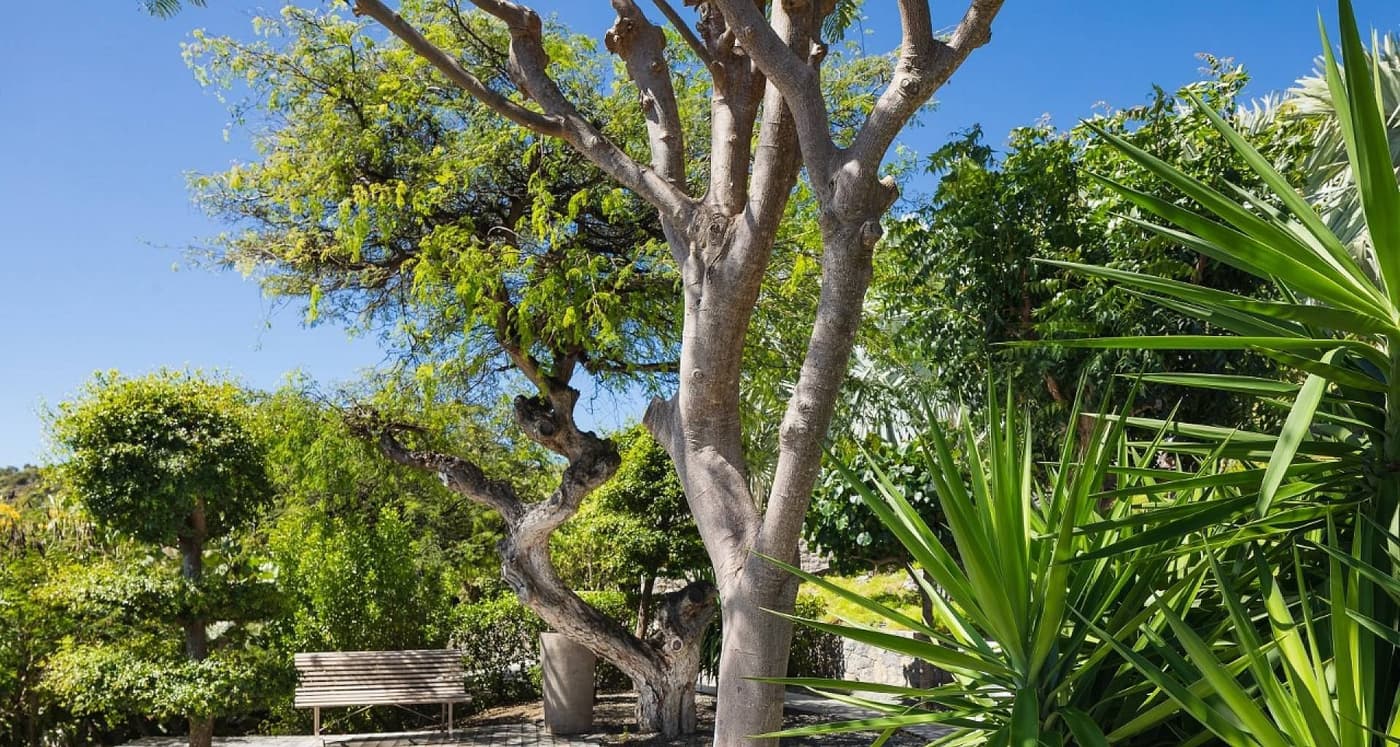 Villa Blue Dragon — luxury villa photo 38