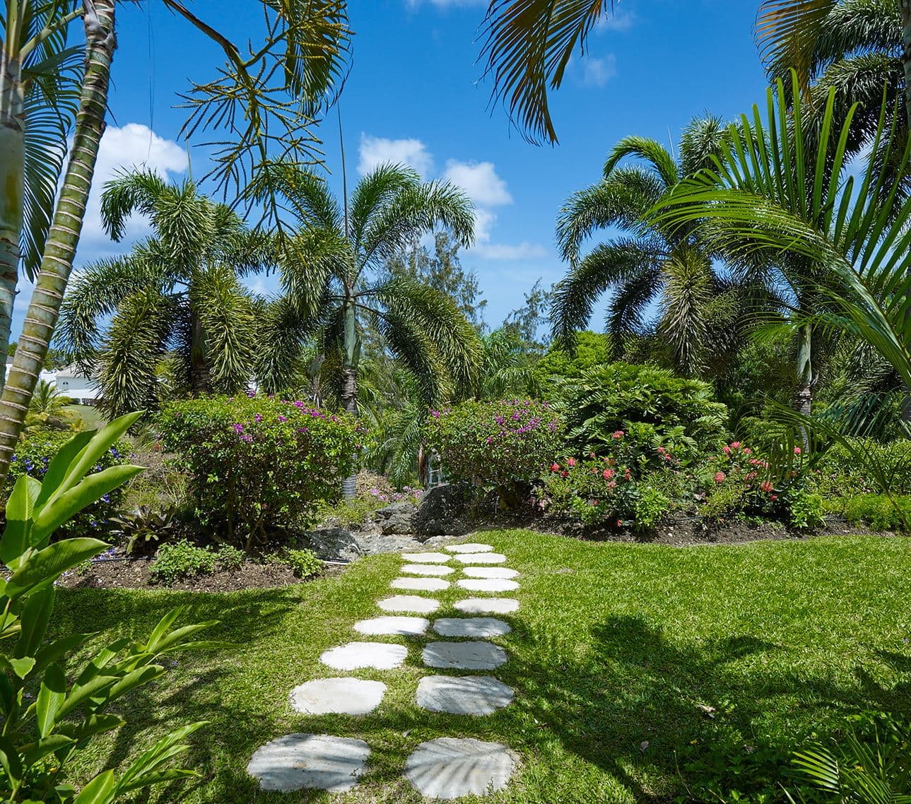 Villa Monkeys — luxury villa photo 15