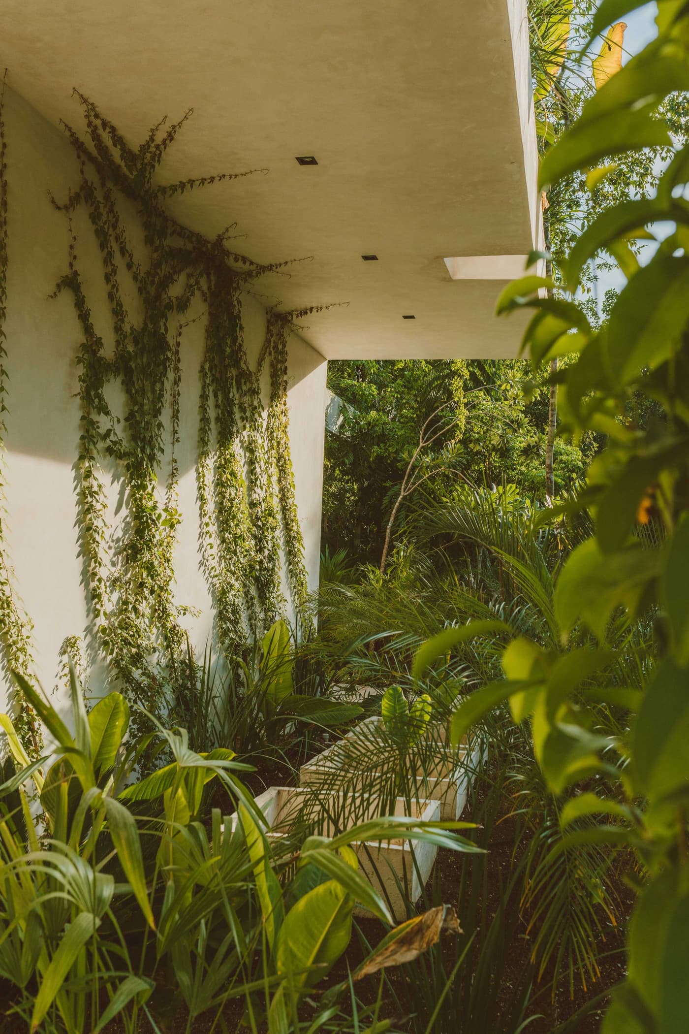 Villa Fosca — luxury villa photo 2