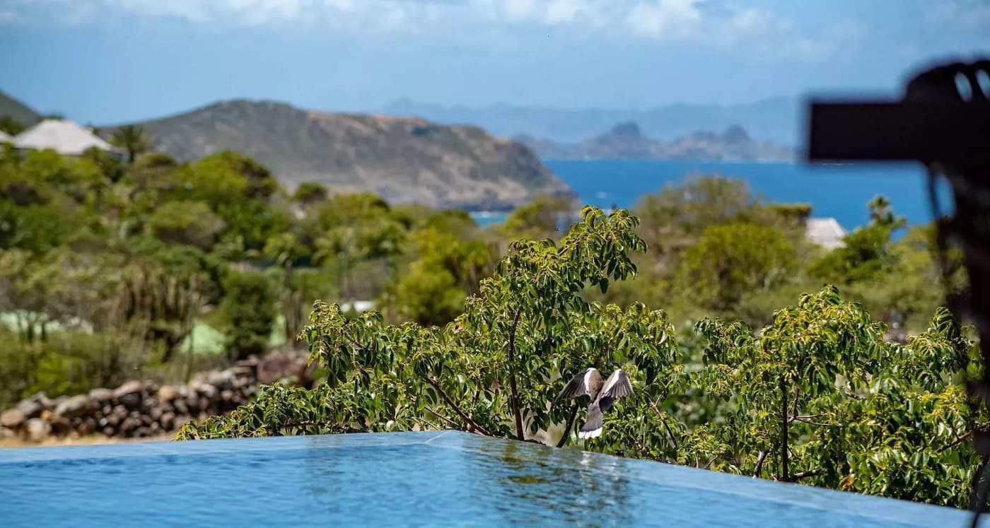 Villa Cali — luxury villa photo 22