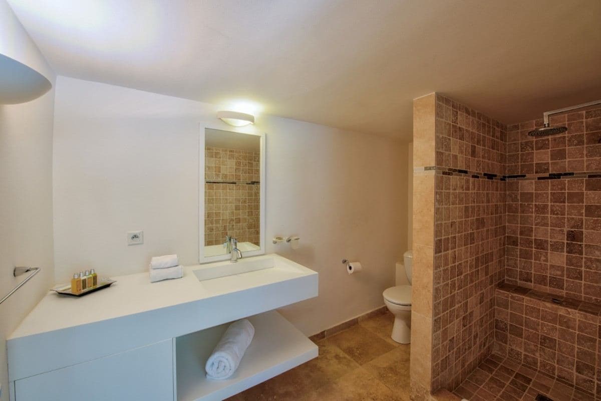 Villa Les Palmiers Bleus — luxury villa photo 2