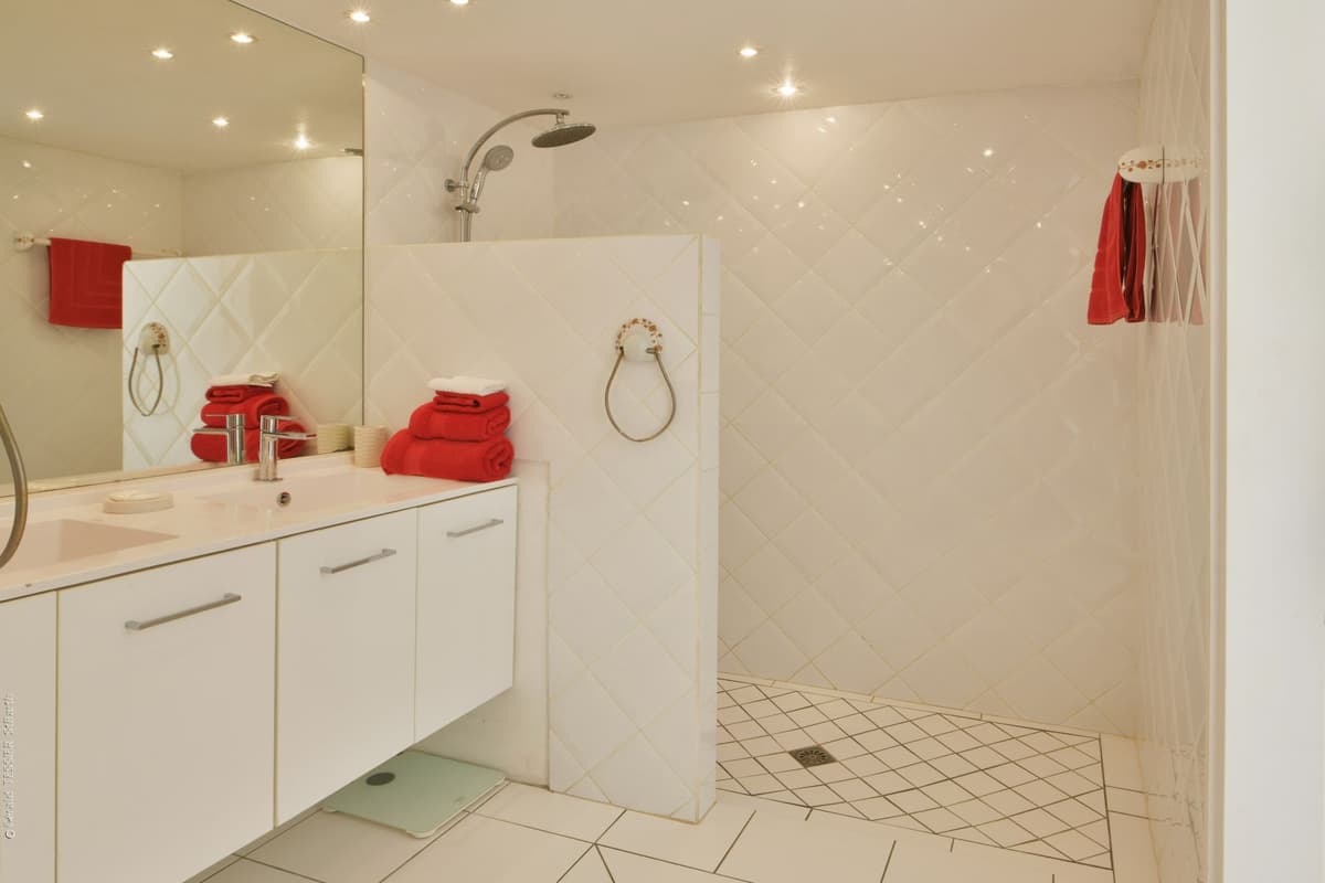 Villa Ylang Ylang-Flamands — luxury villa photo 1