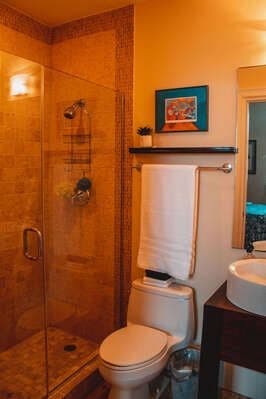 Villa Lissette Manor — luxury villa photo 2