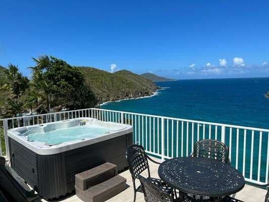 Villa Paradise Palms — luxury villa photo 3