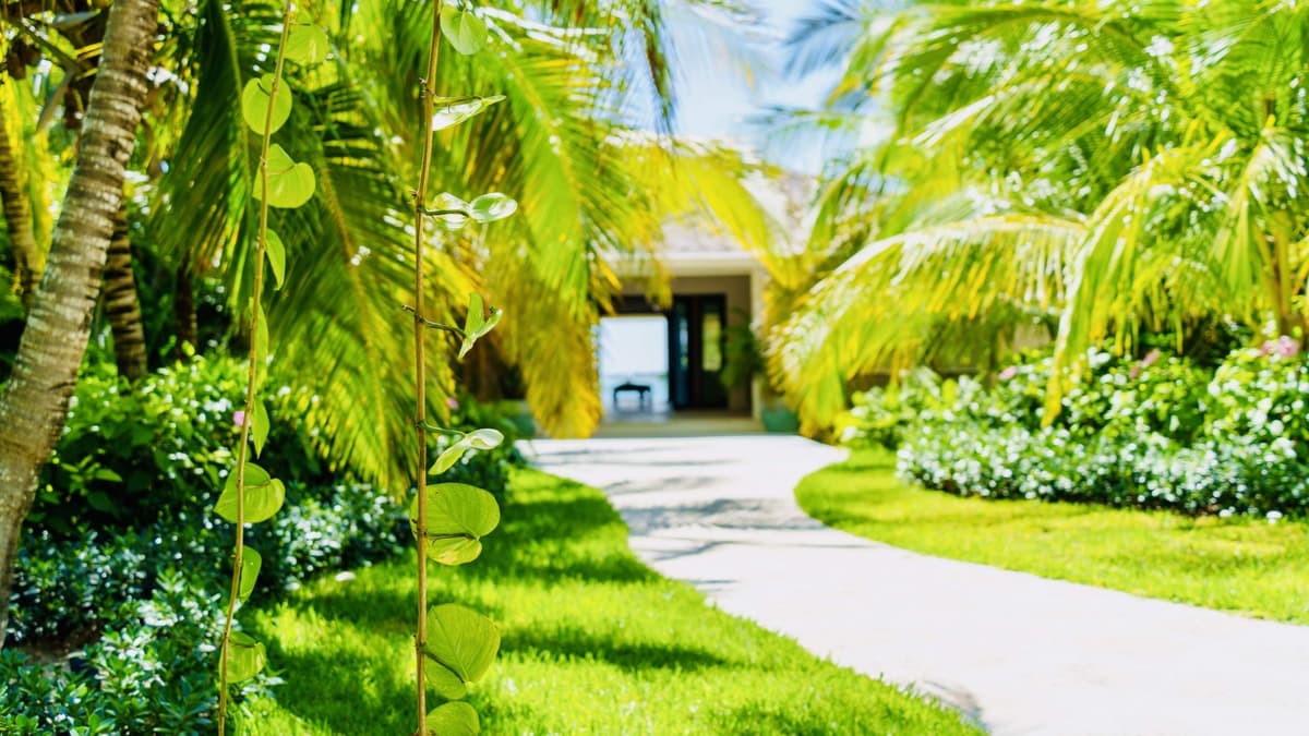 Beacon Hill Estate — luxury villa photo 2
