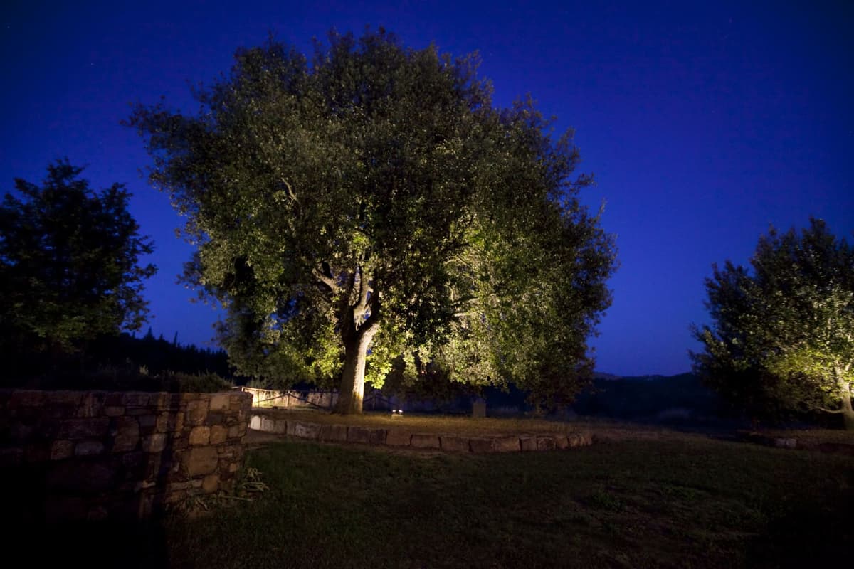 Villa Le Fonti — luxury villa photo 62