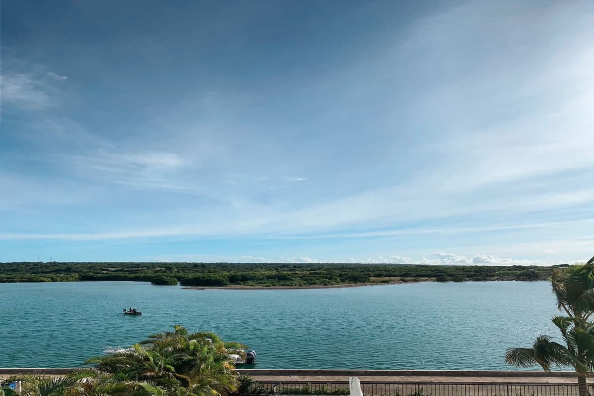 Casa Delfin — luxury villa photo 25