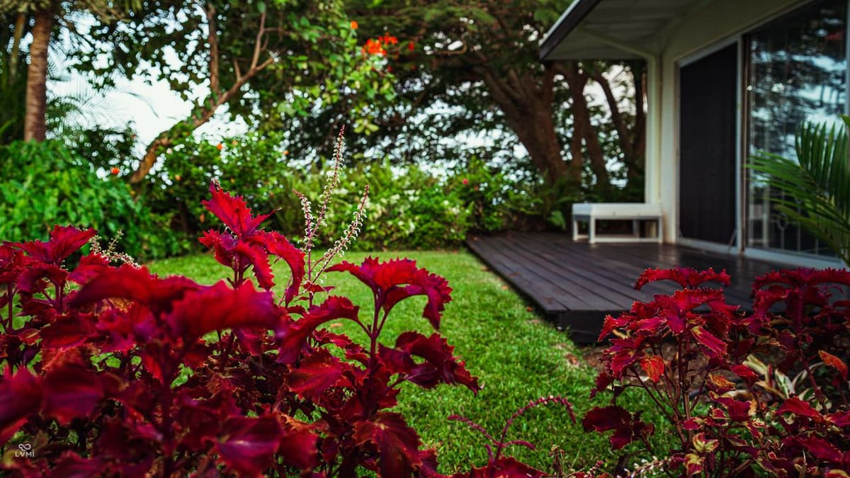 Morne Trulah Estate — luxury villa photo 3