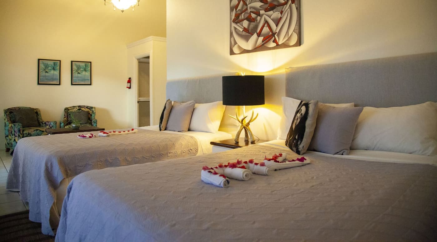 Ocean View Villa — luxury villa photo 3