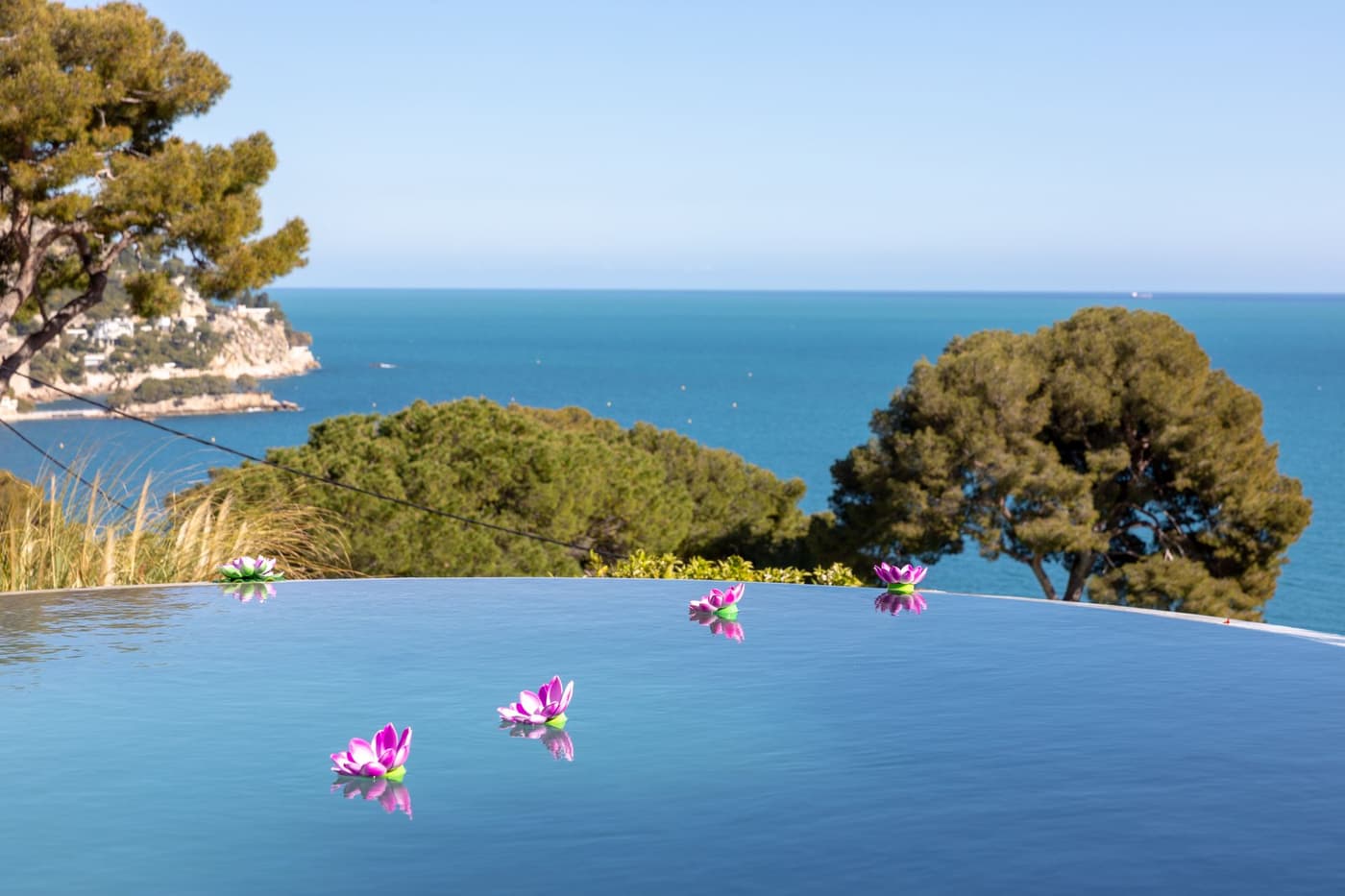 Paradise Villas — luxury villa photo 3