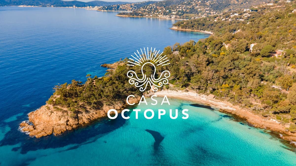Casa Octopus — luxury villa photo 3