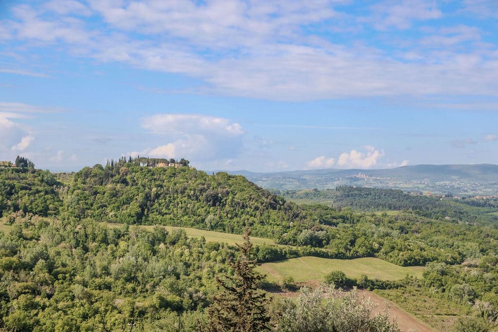 Villa Torre Il Santo — luxury villa photo 139