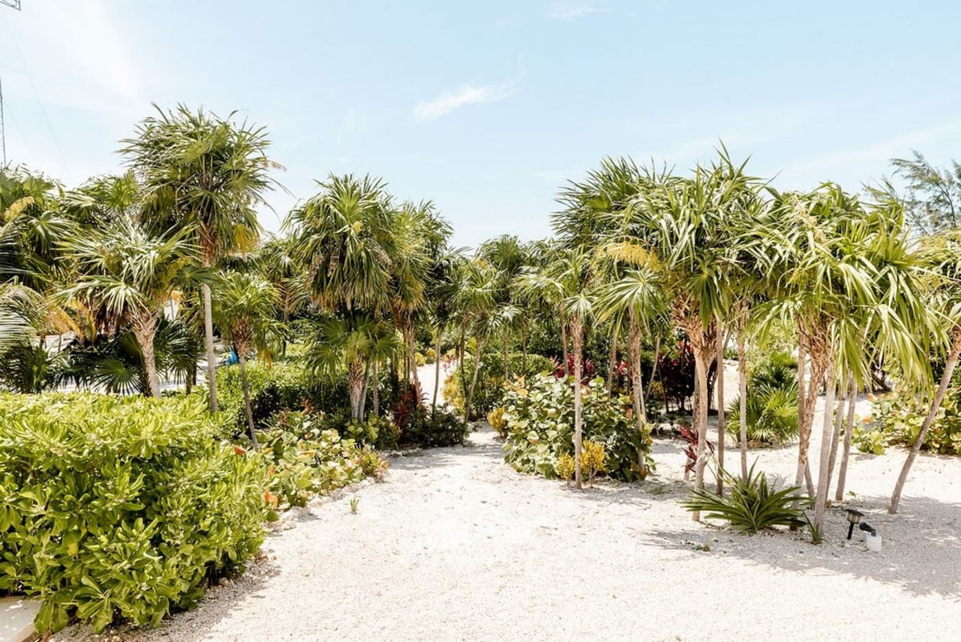 Blanca Beach House — luxury villa photo 35