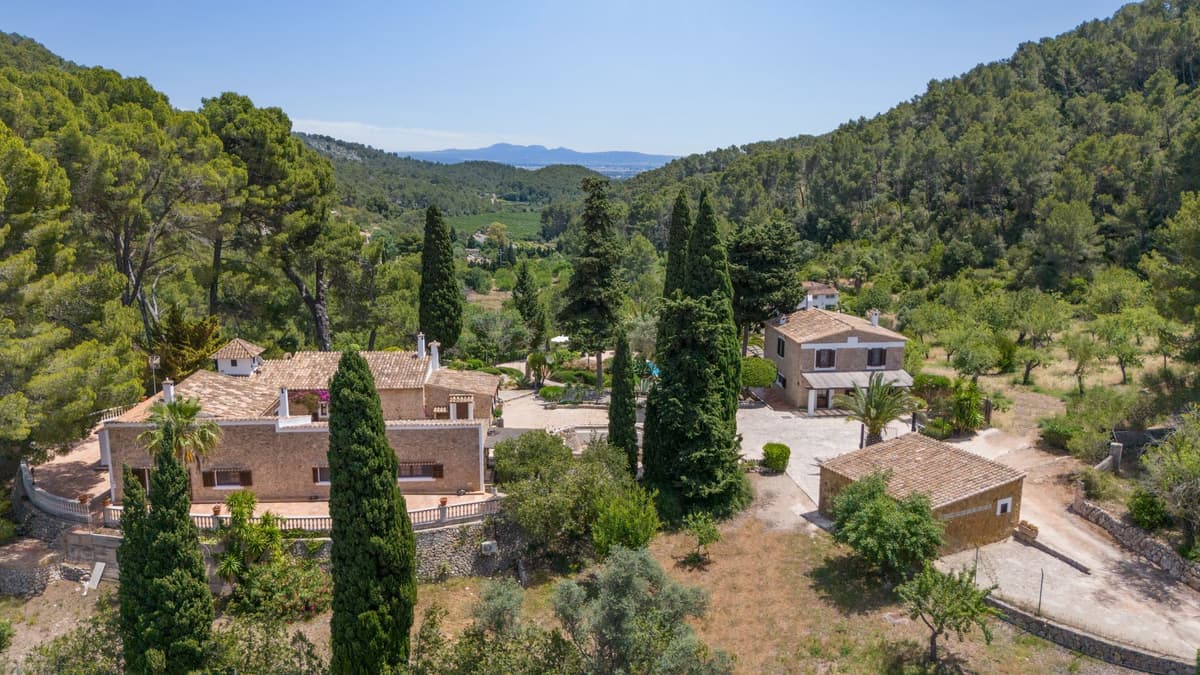 Finca Especial El Pino Esporles — luxury villa photo 3