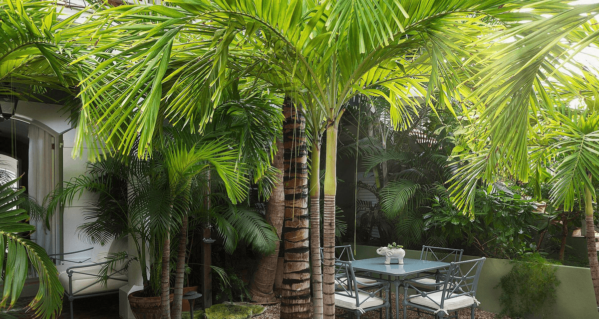 Villa Botanist — luxury villa photo 13