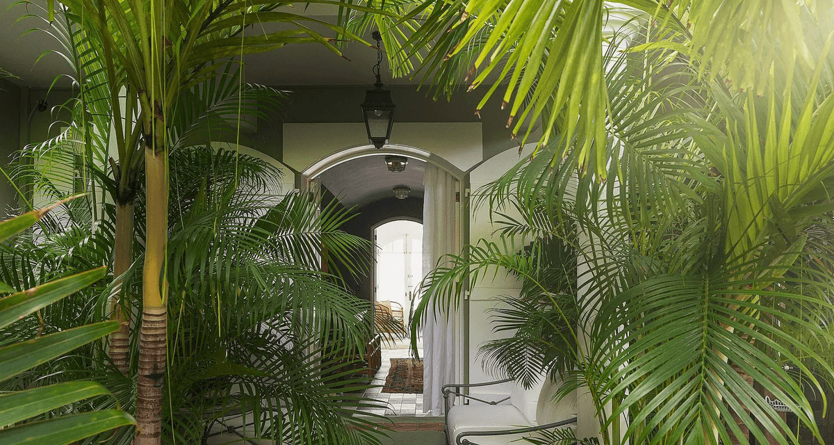 Villa Botanist — luxury villa photo 12