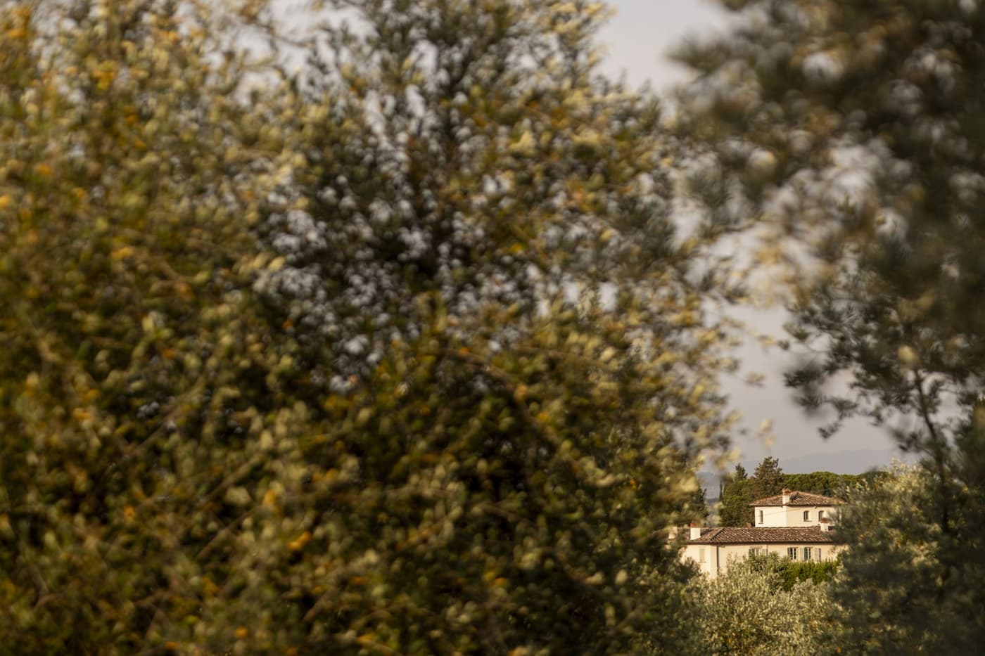 Dimora Ghirlandaio — luxury villa photo 101