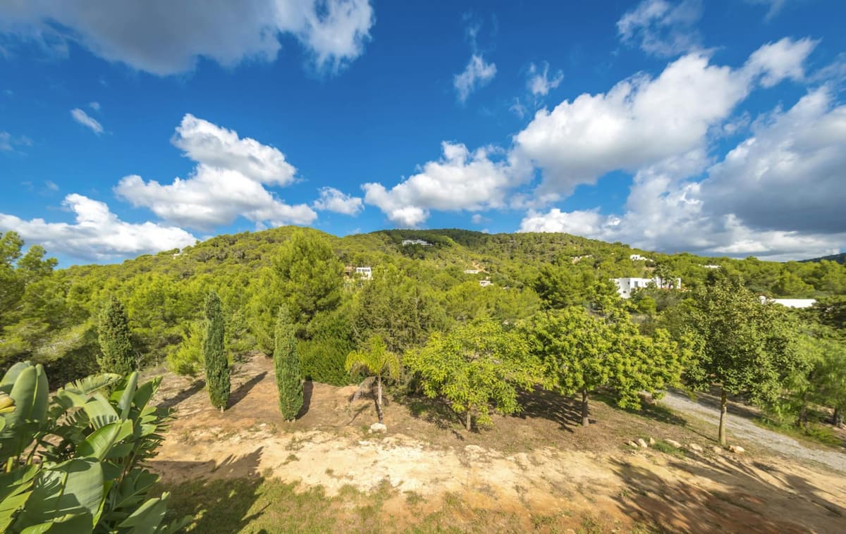 Estrella Azul — luxury villa photo 48