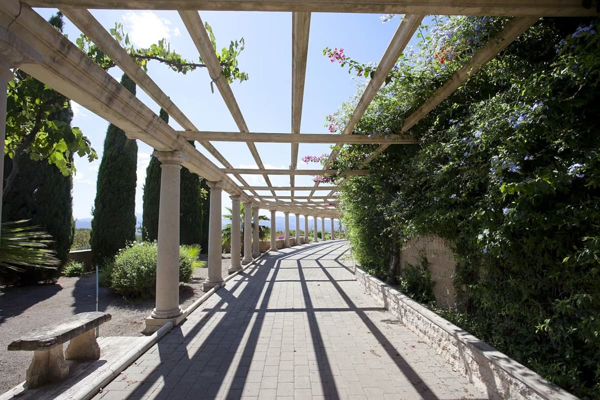 Alcudia Estate — luxury villa photo 46