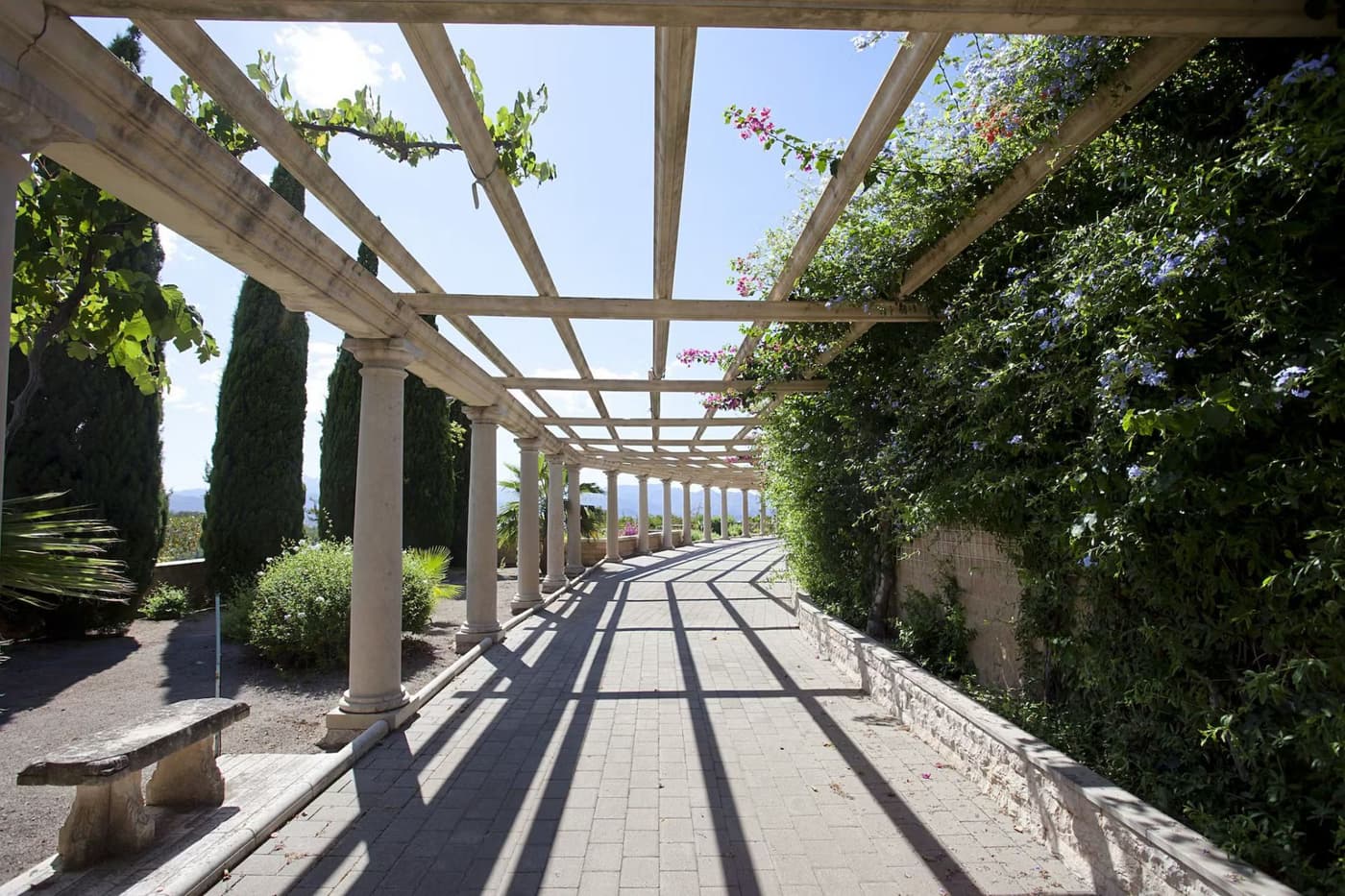 Alcudia Estate — luxury villa photo 46