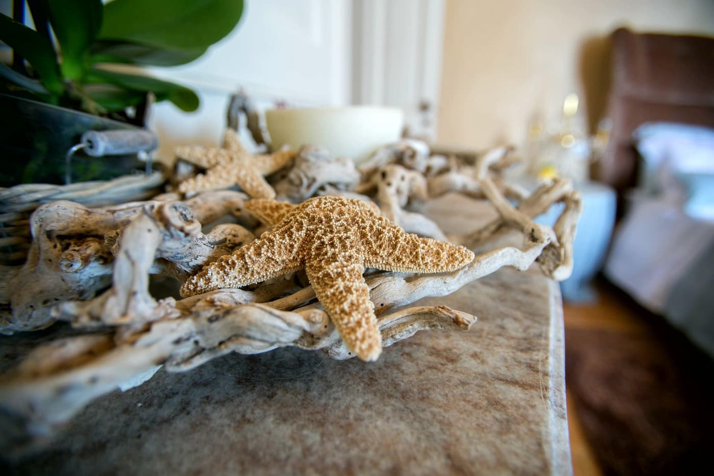 Il Divino Maniero — luxury villa photo 3
