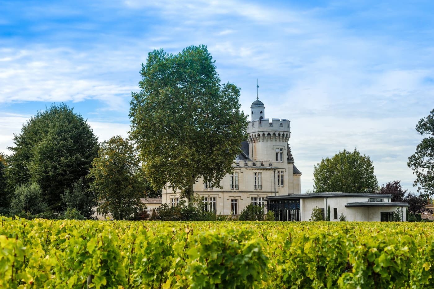 Chateau Pessac — luxury villa photo 3
