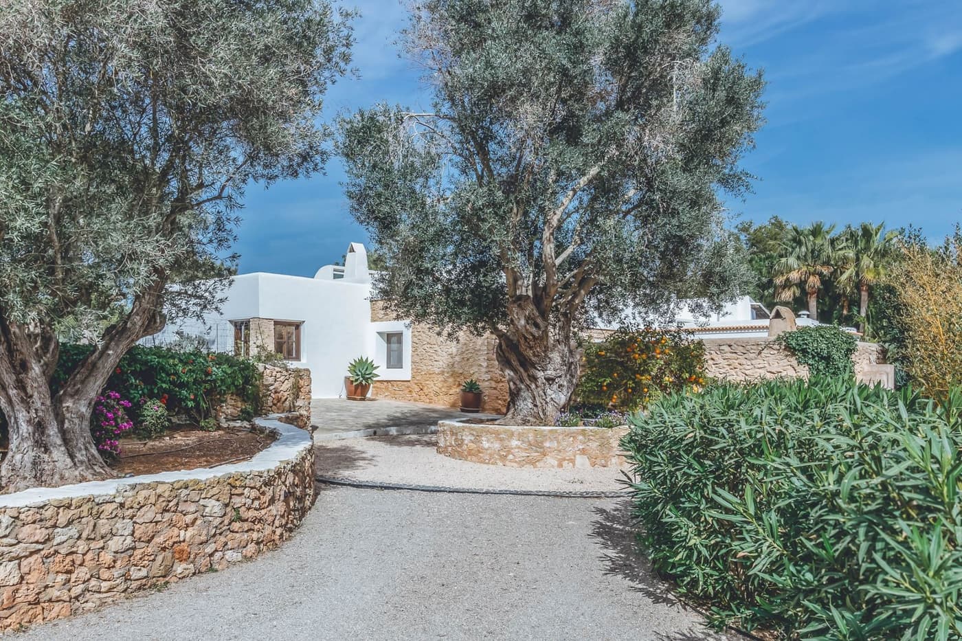 Villa Amalia - Ibiza — luxury villa photo 2